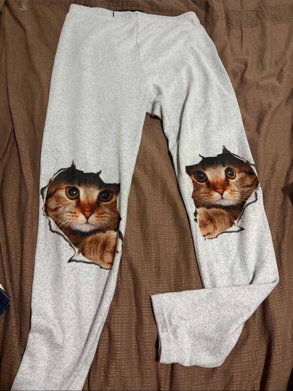 Cat Print Gray Leggings
